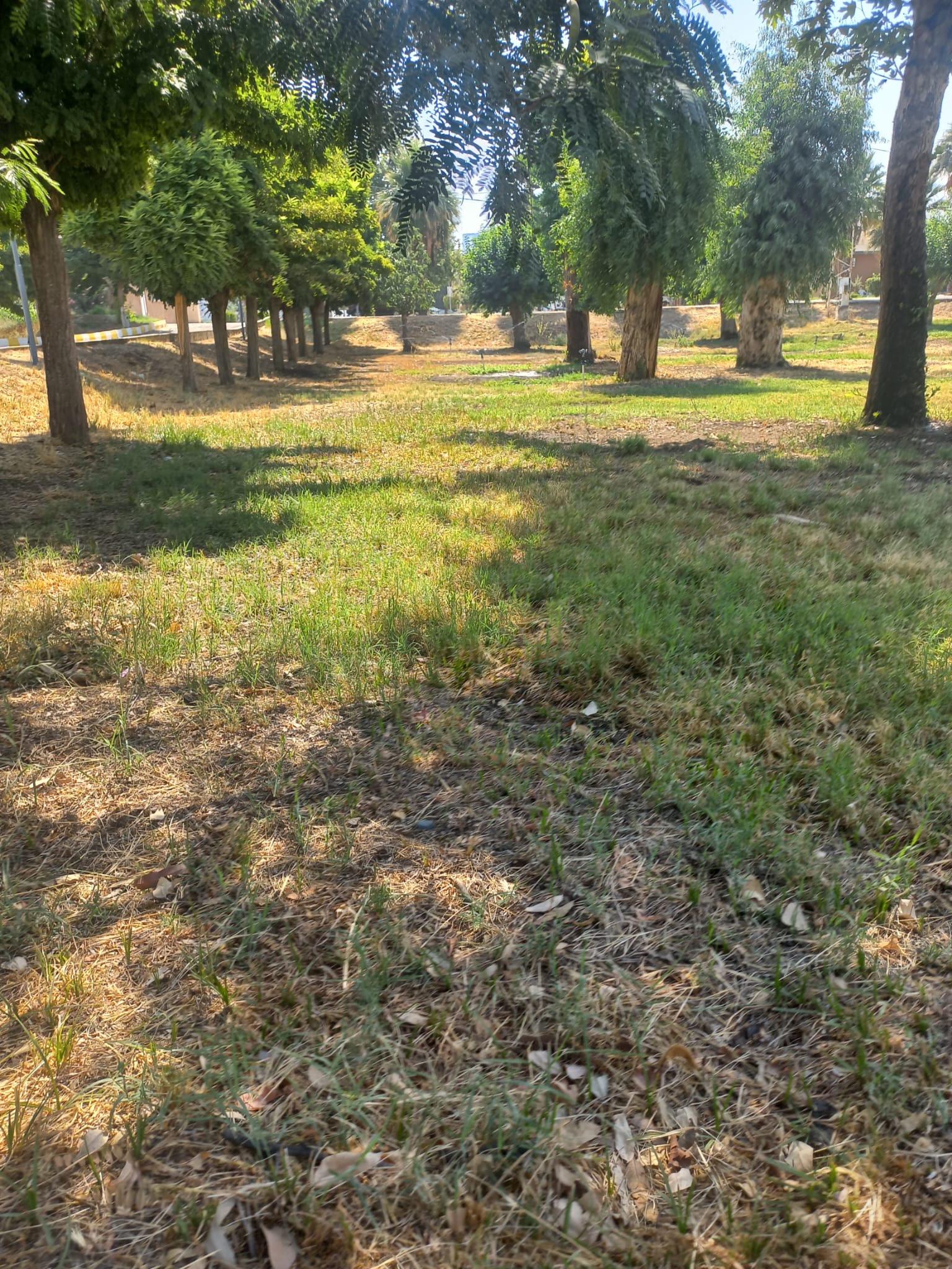 Yeni Eğitim-Öğretim Yılı İçin Hazırlıklar